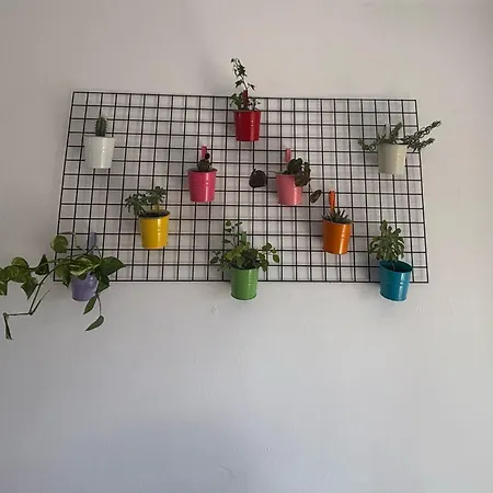Anita Apartment