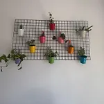 Anita Appartamento